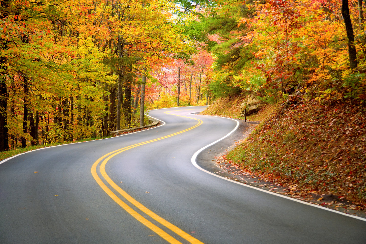 Stepping into autumn