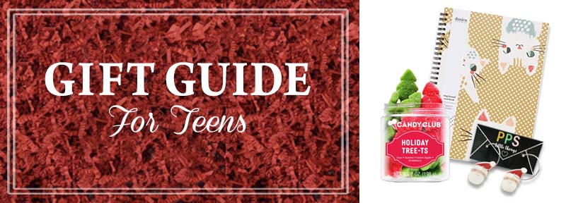 The Imagination Spot - Holiday Gift Guide For Teens - 2022