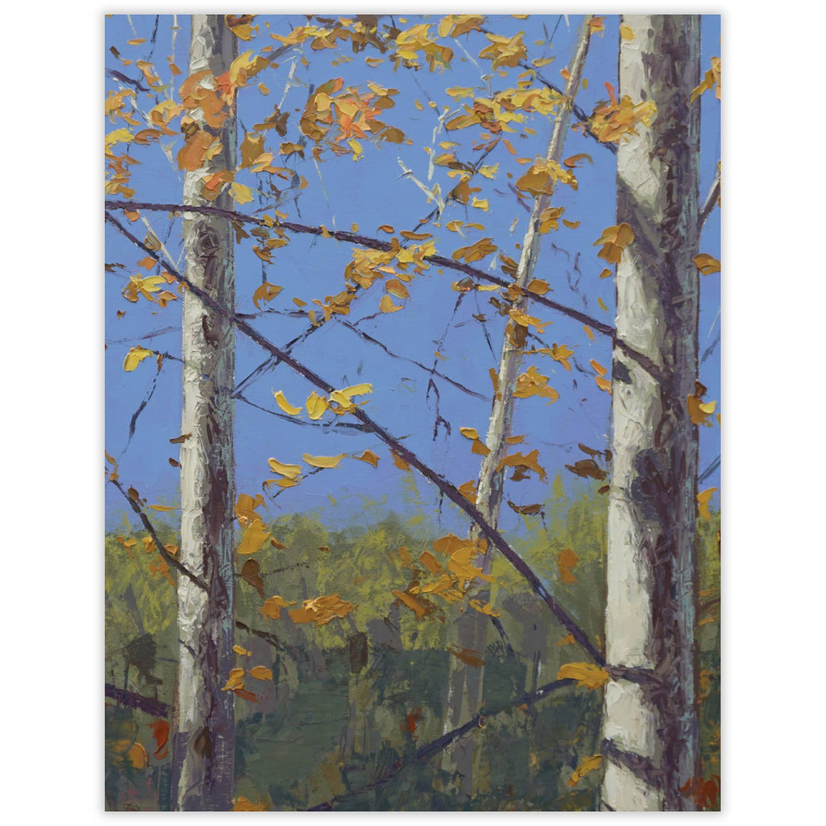 Autumn Trees Blank Notecard