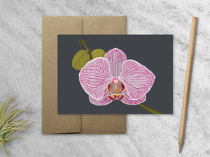 Orchid Notecards  - Boxed Set of 8