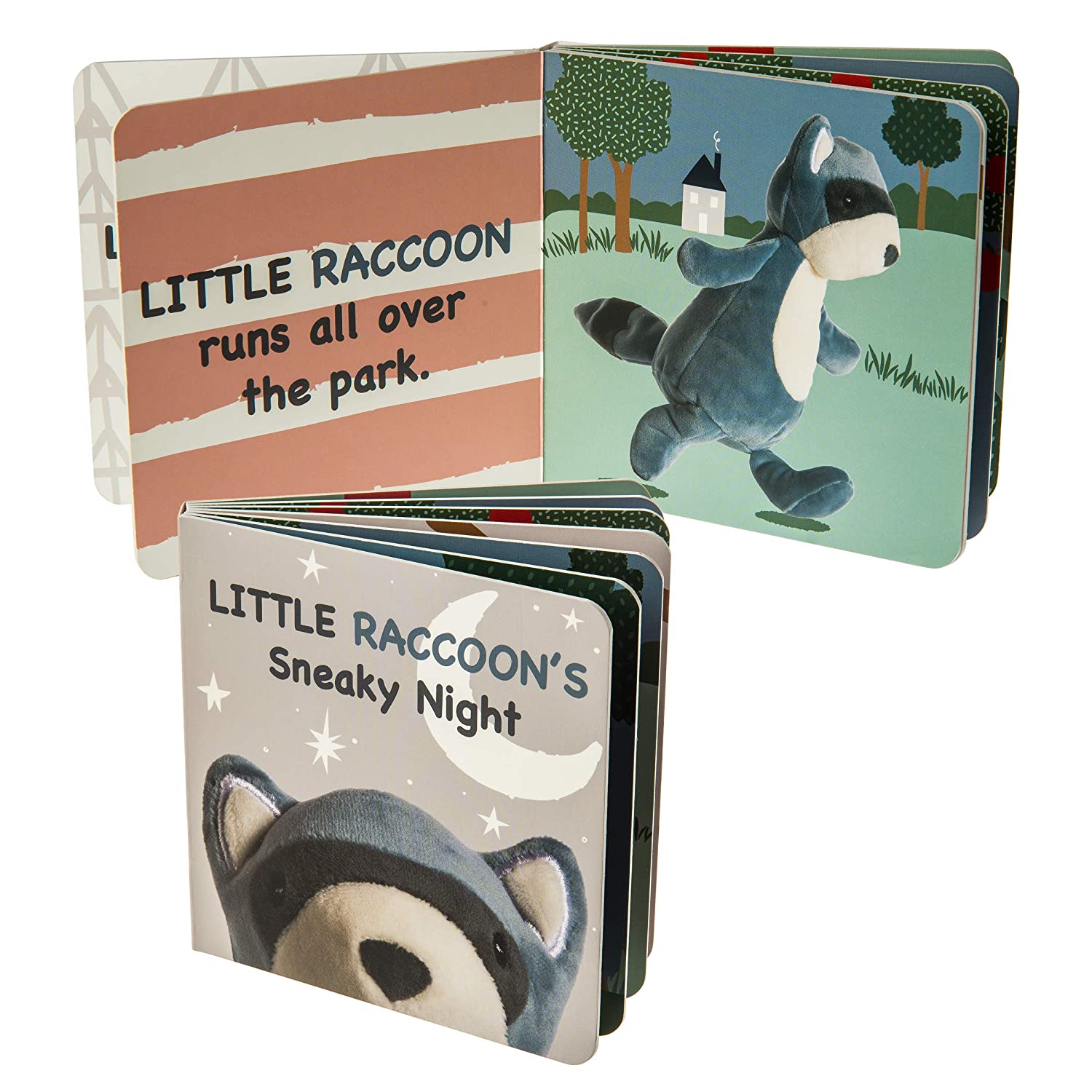 Baby Board Book - Little Raccoon&