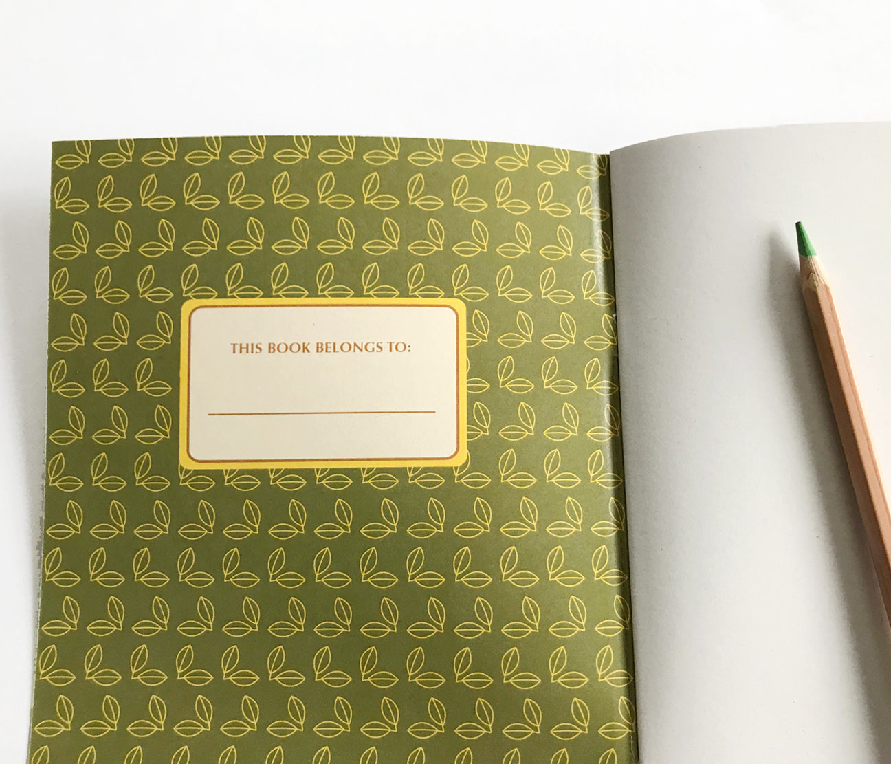 Hedgehog Blank Journal by The Imagination Spot
