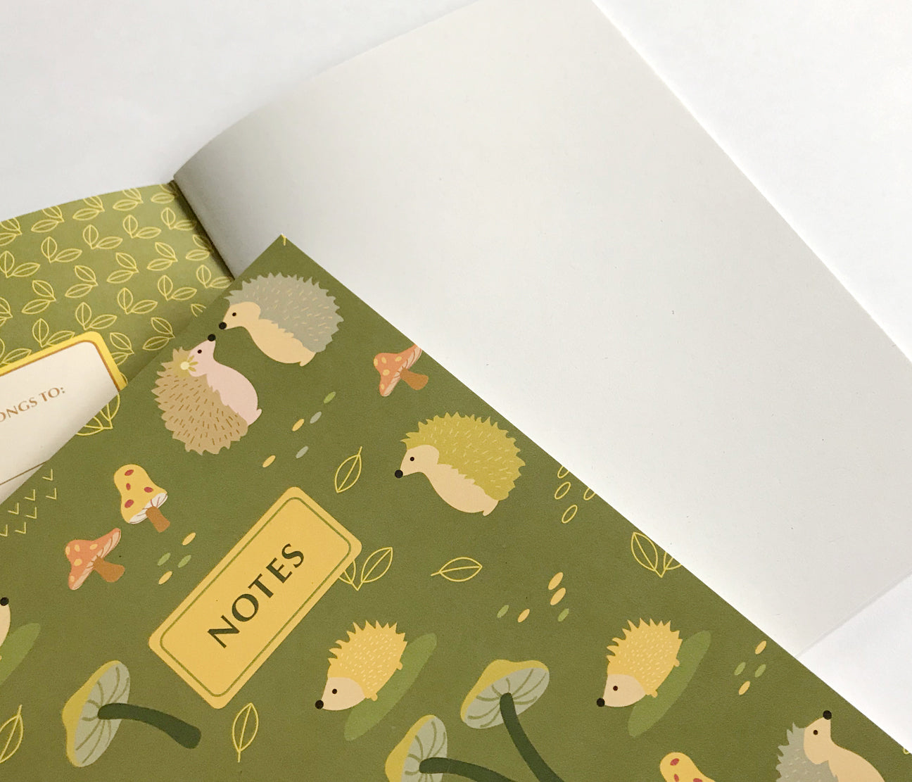 Hedgehogs blank journal sketchbook