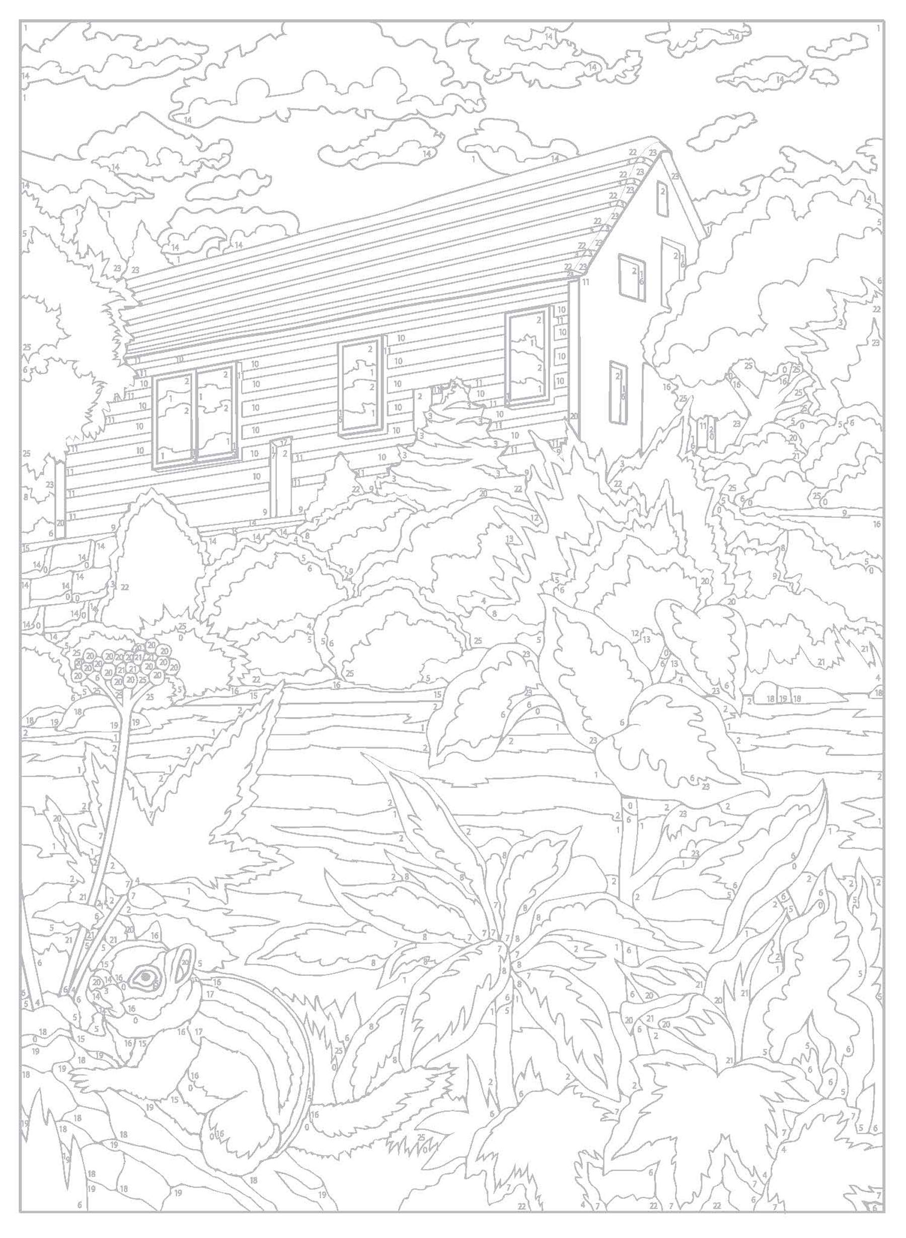 Color By Number - Country Scenes - Coloring Book - The Imagination Spot