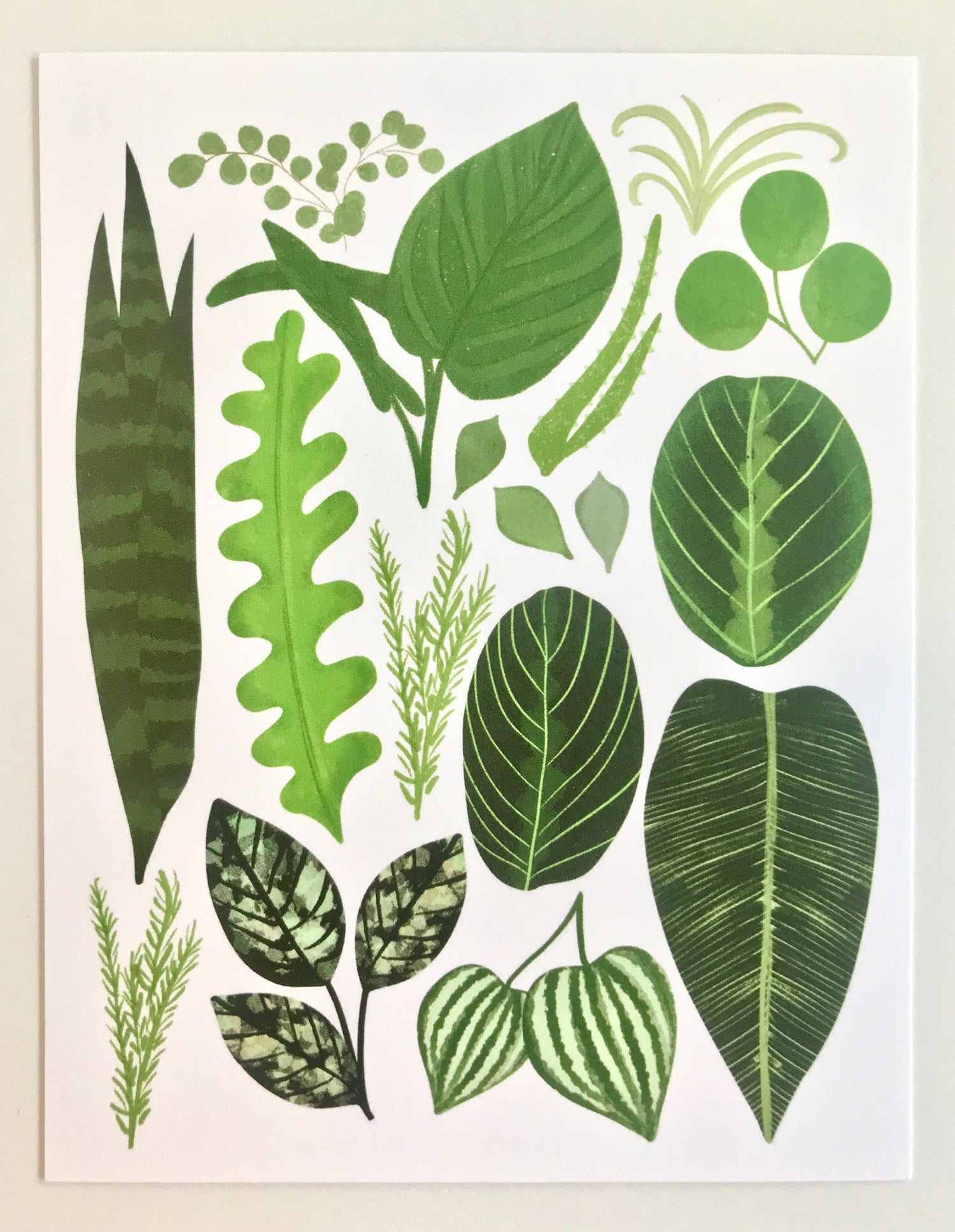 Plant Lovers Postcard