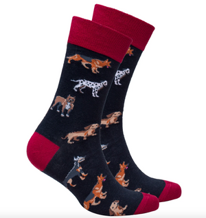 Socks n Socks - Womens Socks