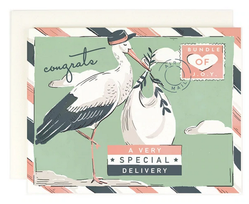 20% OFF Special Delivery New Baby Card