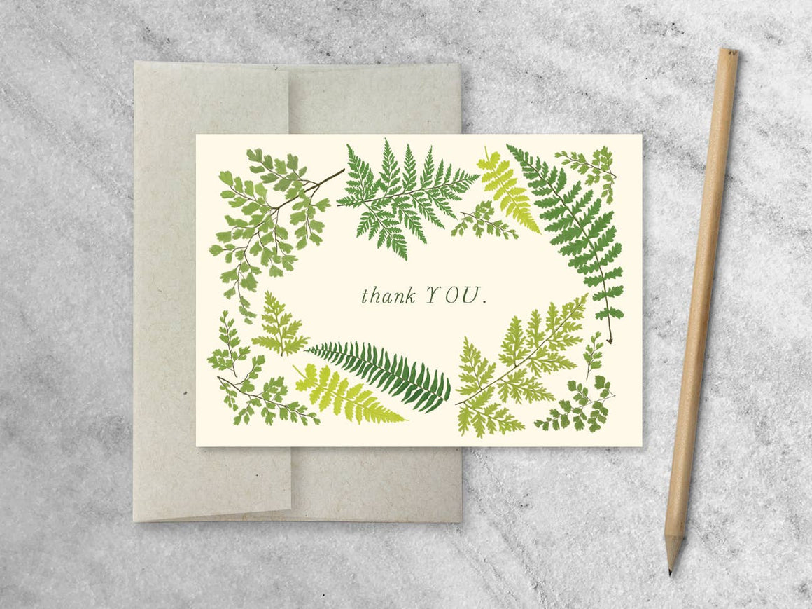 Fern Thank You Notecards  - Boxed Set of 8