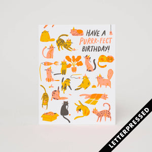 Birthday Card - Purr-fect Birthday